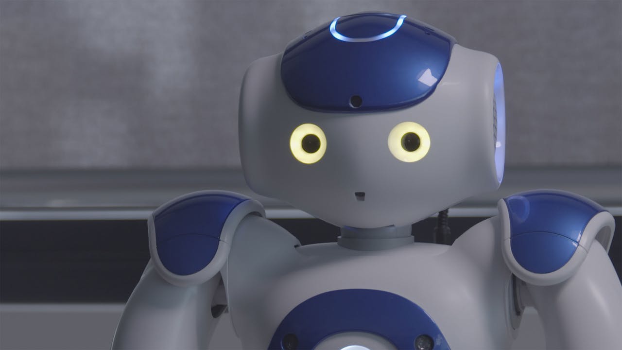 AI Race, The (30-Day Rental)