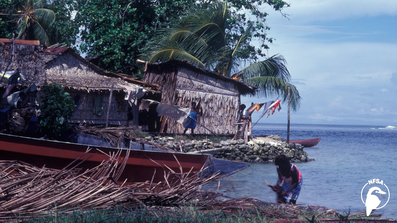 Solomon Islands: Nambo (1-Year Access)