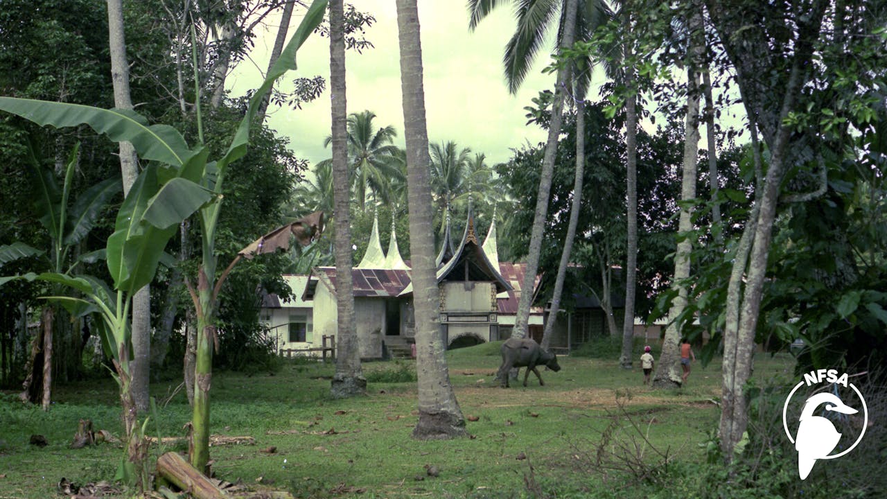 Asian Insight: Indonesia - Unity in Diversity (3-Day Rental)