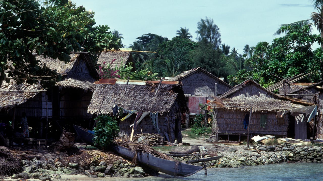 Solomon Islands: People of Niupani (1-Year Access)
