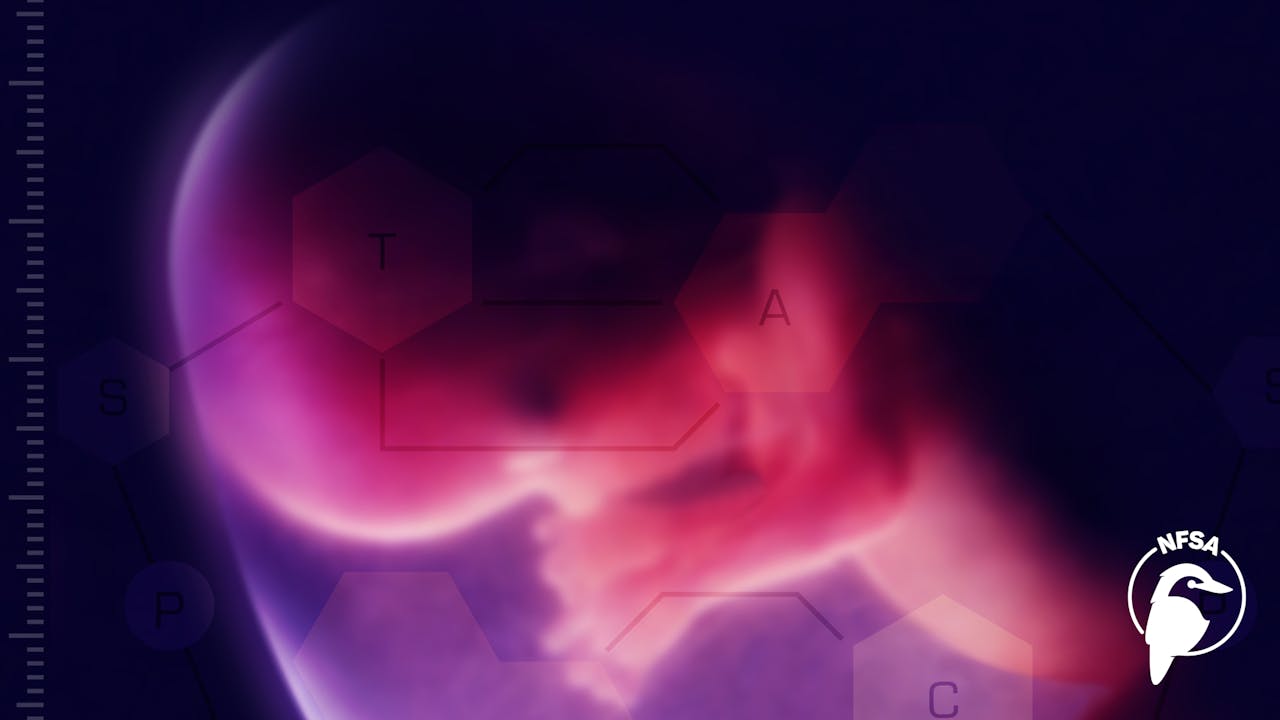 Who's Afraid of Designer Babies? (3-Day Rental)