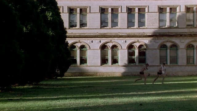 The Devil's Playground