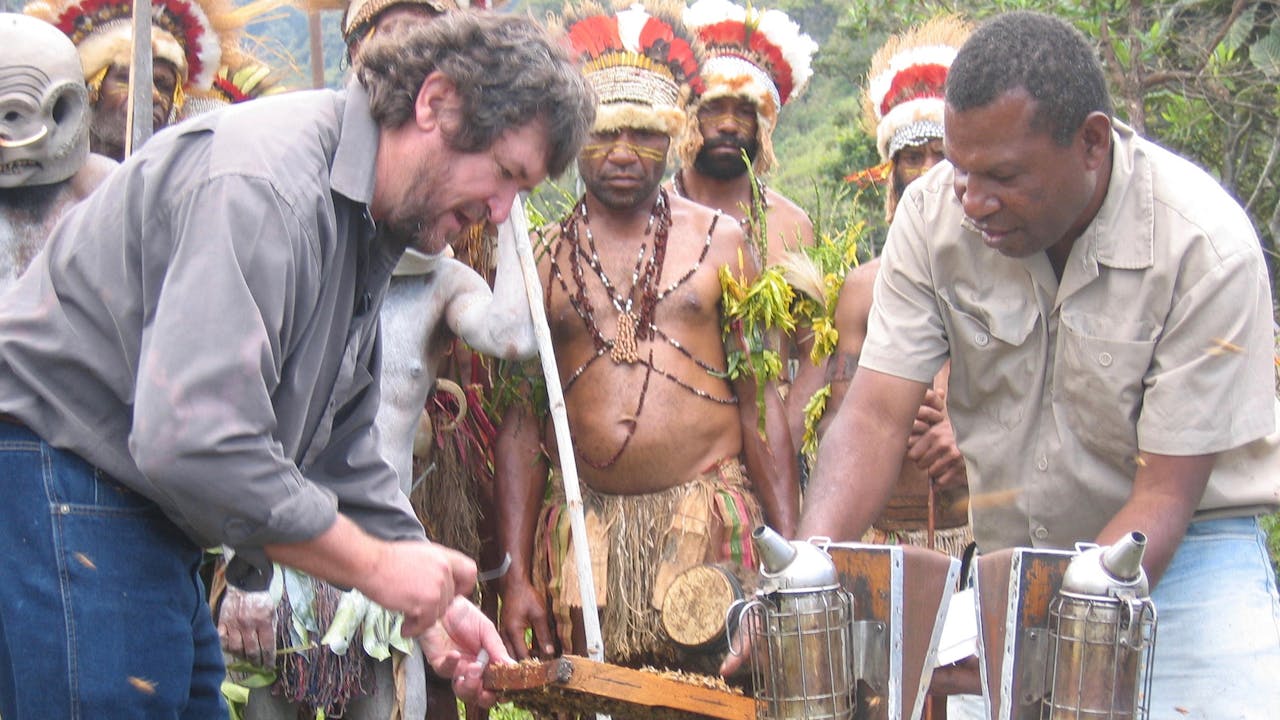 Honeybee Blues (1-Year Access)