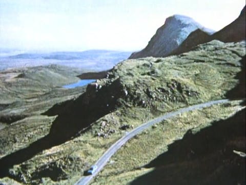 The Migrant Experience - Something Ol...