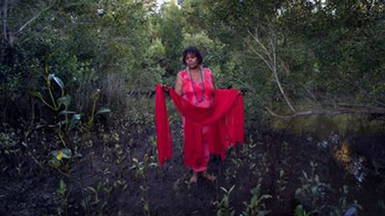 Compass: Babe in the Reeds (3-Day Rental)