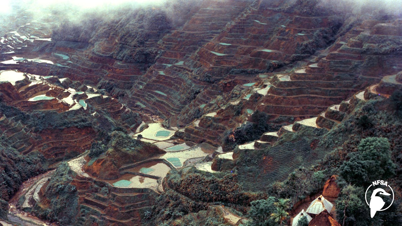 Asian Insight (series) (3-Day Rental)