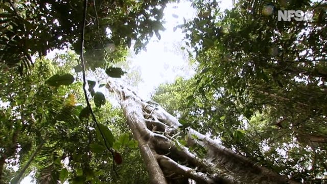 Who Do You Think You Are? - Jack Thom...