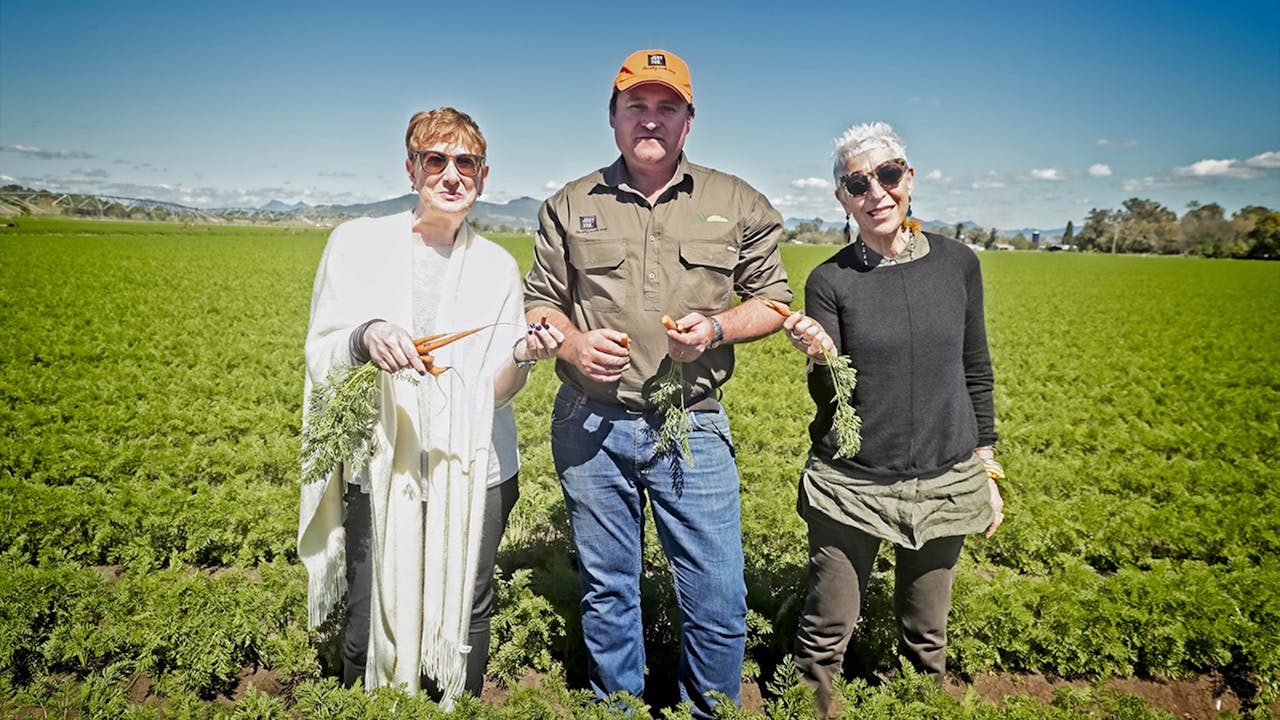 Food Fighter (Lifetime Access)