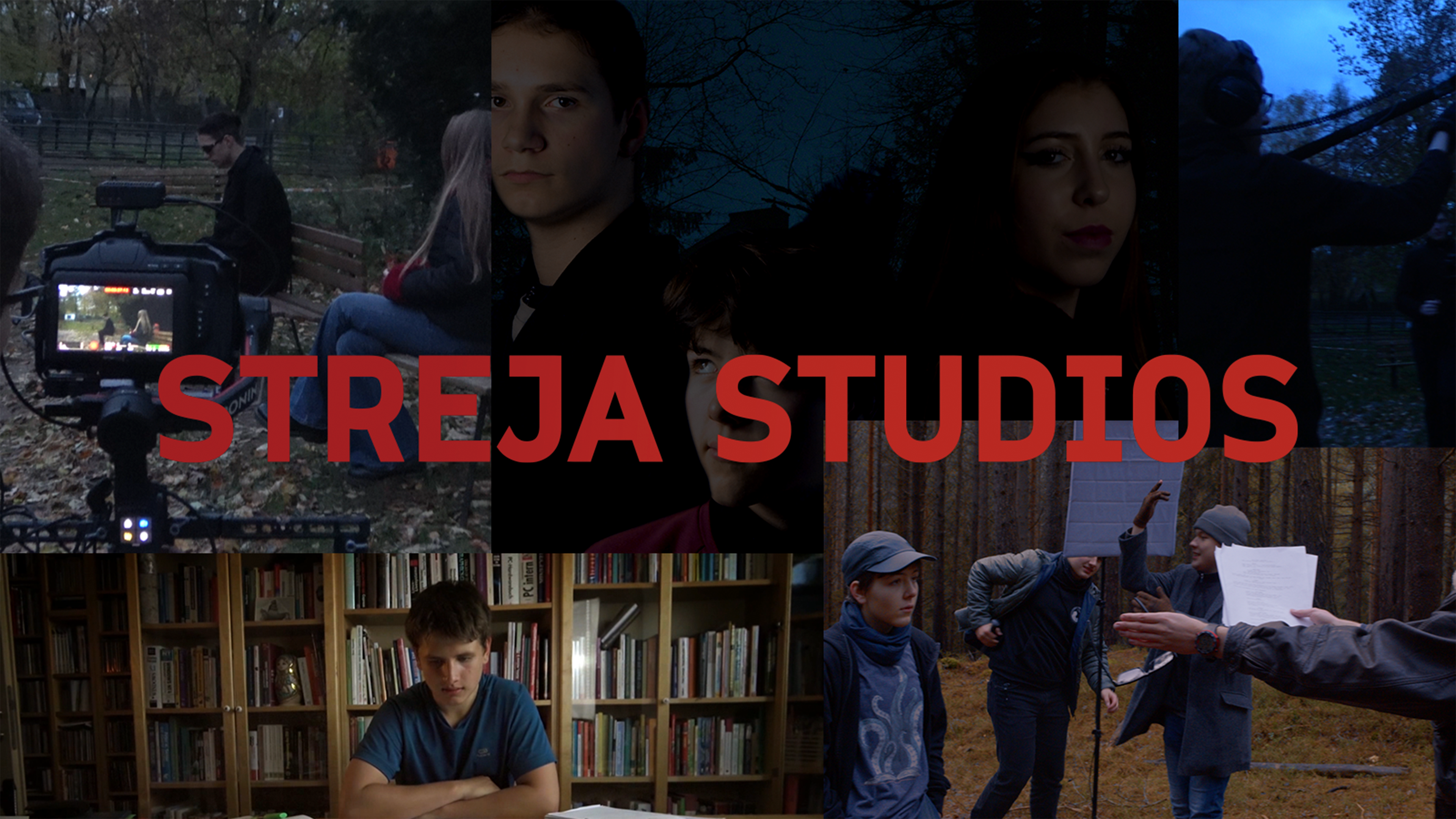 Beginnings of Streja Studios