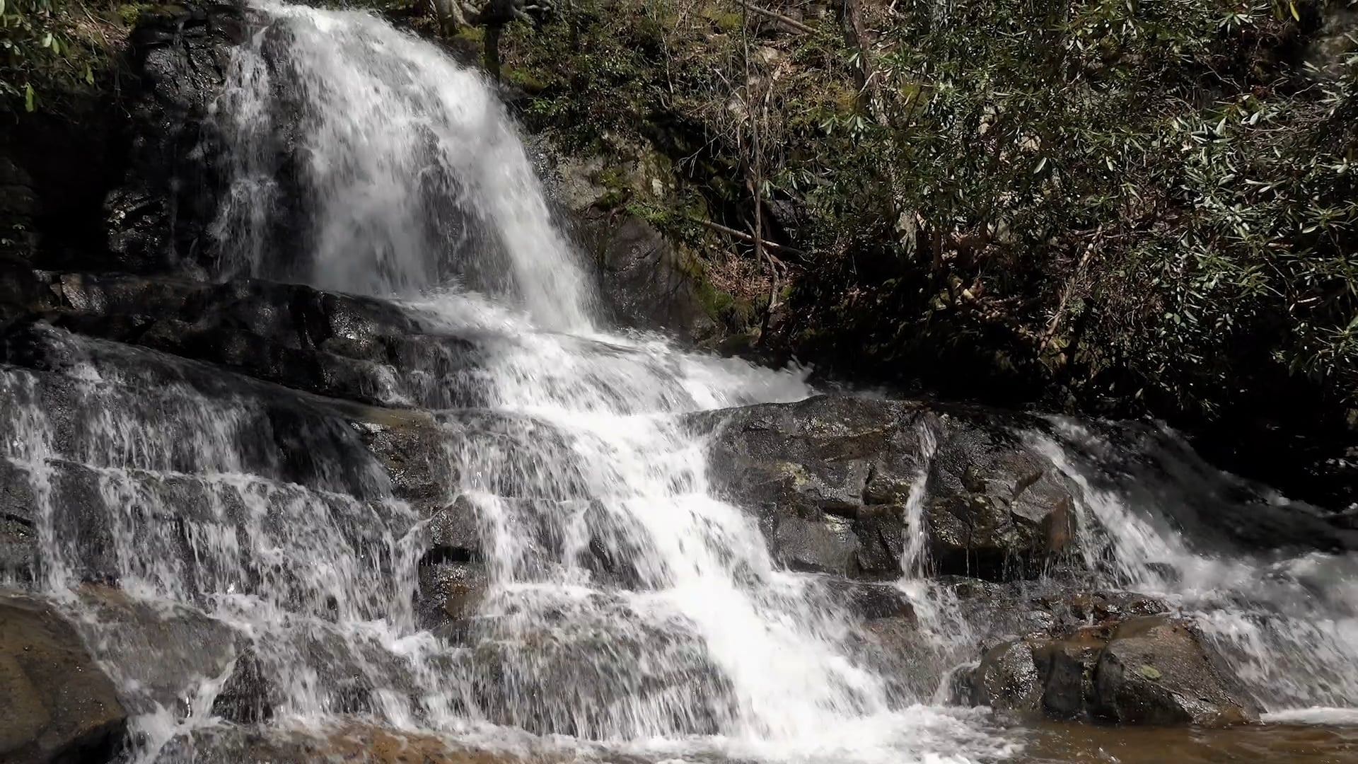 Relax Me in Alaska & Florida