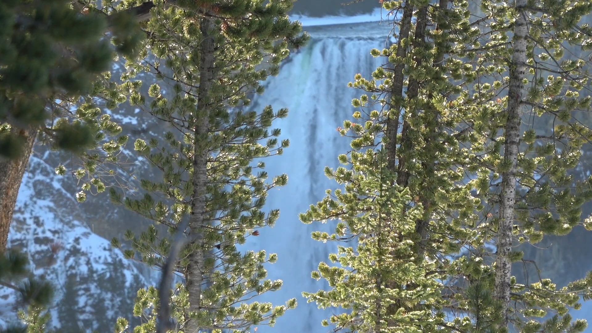 The Grand Canyon of Yellowstone
