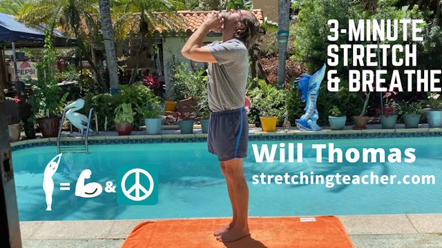 3-Min Stretch & Breathe Sampler
