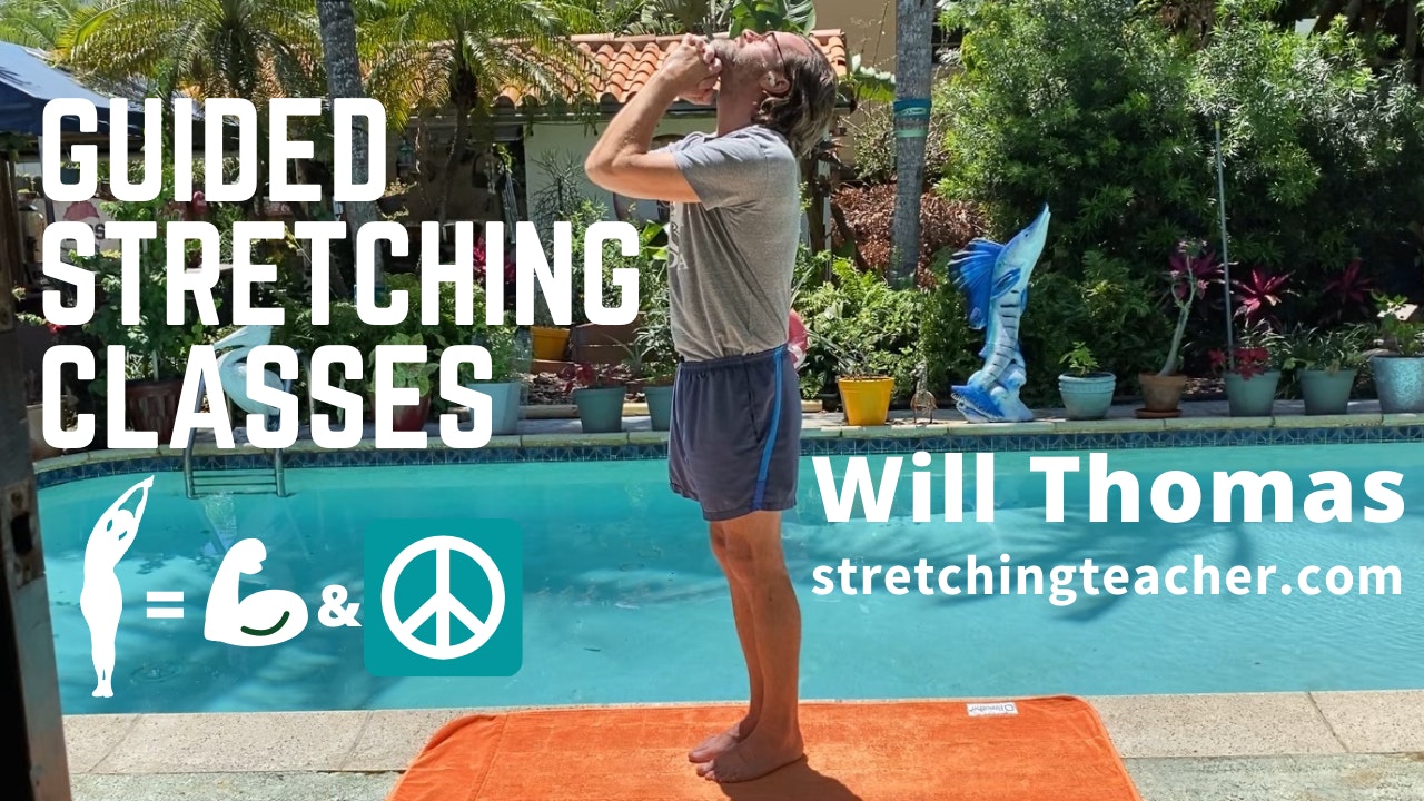 Stretching Videos