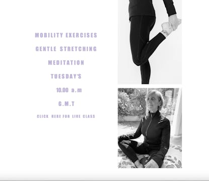 ON DEMAND WEEK 3 JULY MOBILITY EXERCISES STRETCH MEDITATION