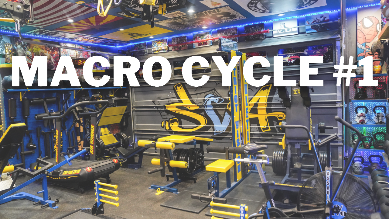 MesoCycle 1 Basic Biomechanical Movements