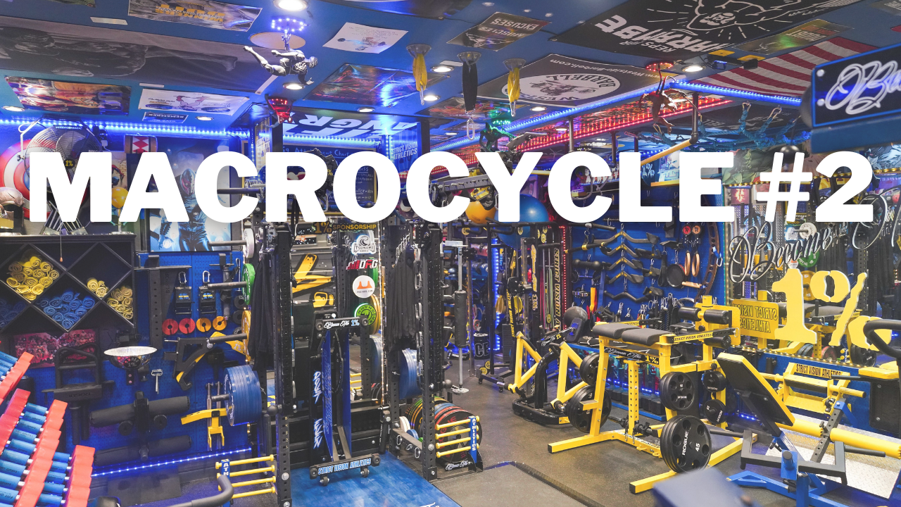 Welcome to MesoCycle 2
