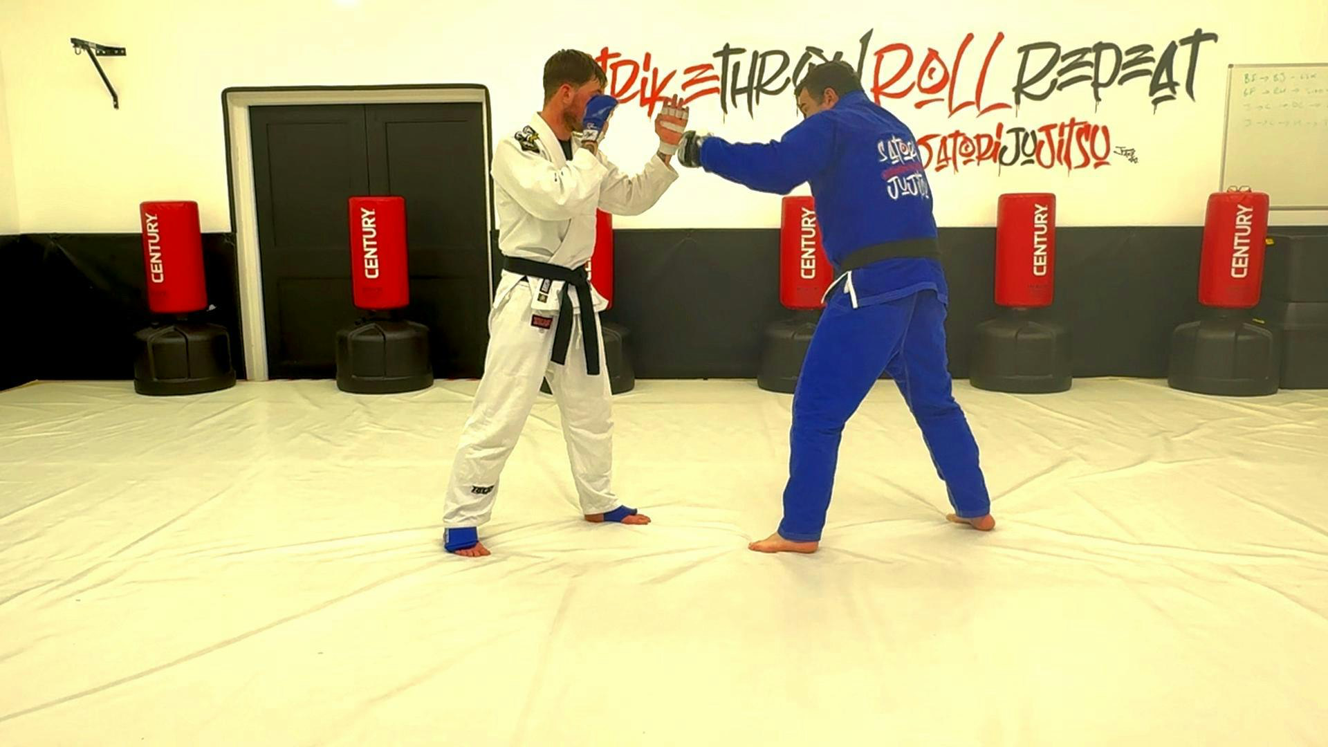 Contact Jujitsu - Jab - Cross - Hook - Turning Kick