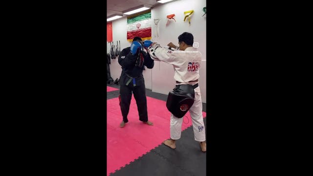 SanShou striking combination 2