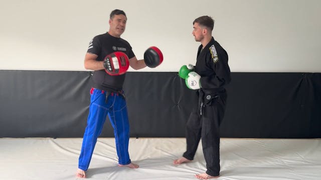 Double Arm Defence Against A Straight...