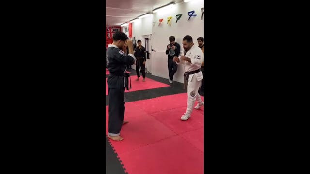 SanShou Striking Combination 