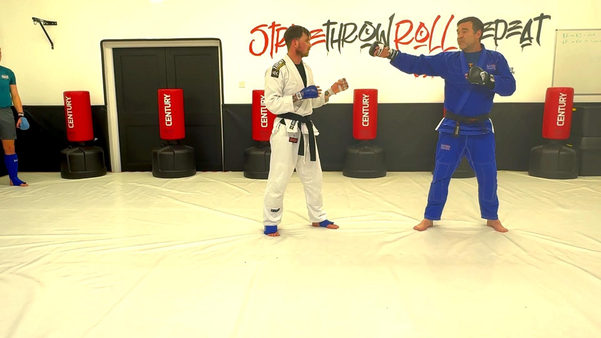 Fighting Jujitsu - Part 1 - Backfist - Ridgehand - Side Kick (variations)