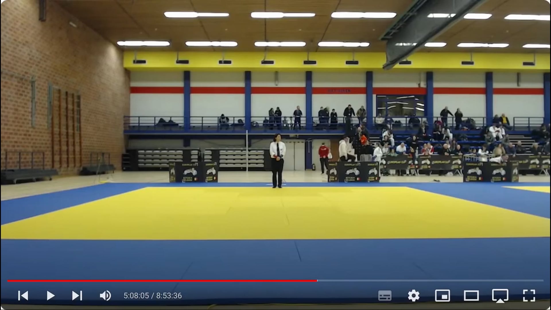 European Championships 2024 - Fighting Jujitsu Match 1 (No Sound)