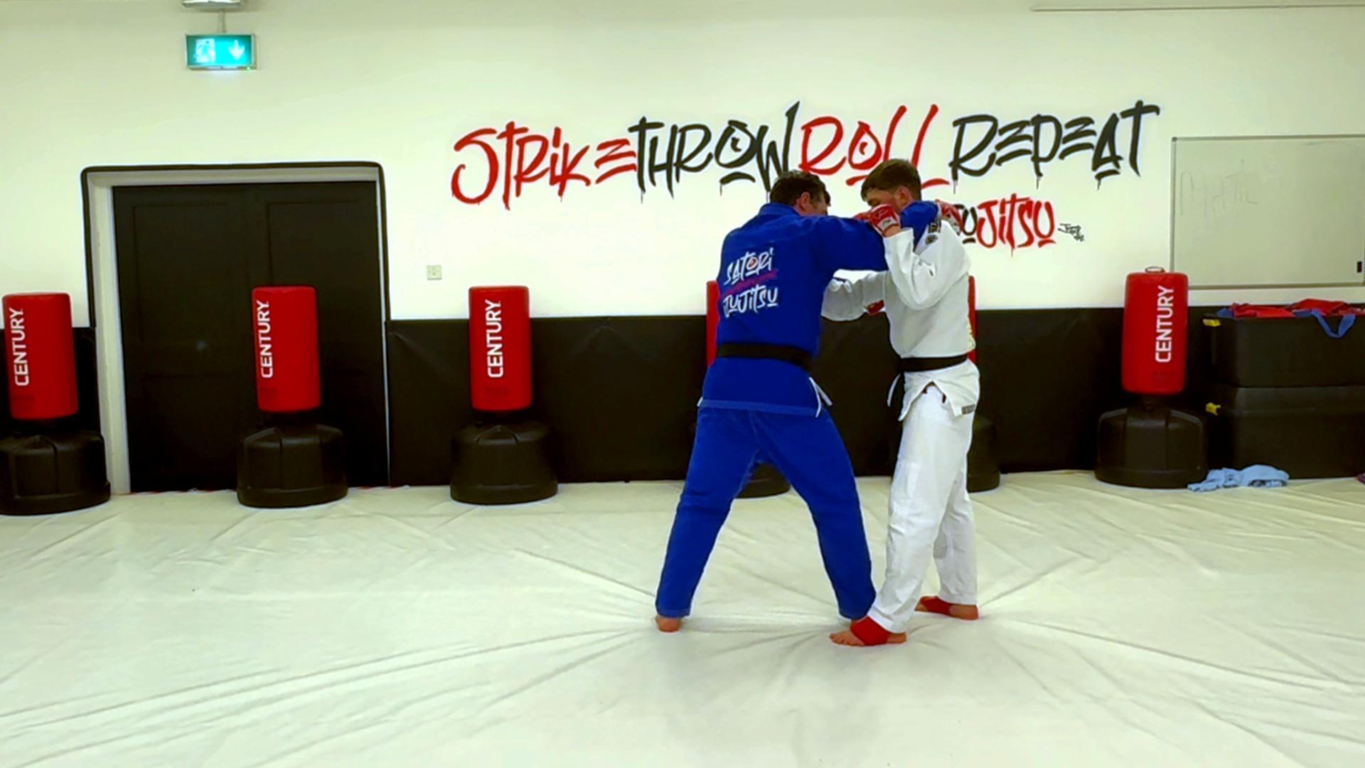 Satori Lesson April 2025