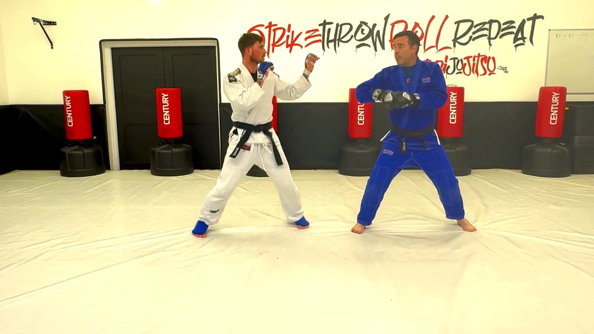 Fighting Jujitsu - Part 1 - Backfist  Body jab  Lead Side Kick