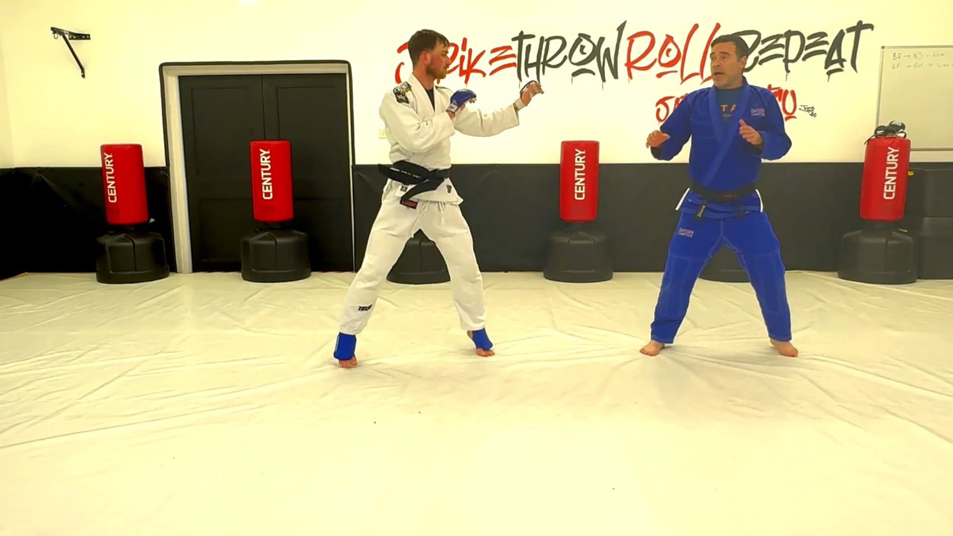JJIF Fighting Jujitsu - Part 1 - Back Fist - Ridgehand - Side kick variations