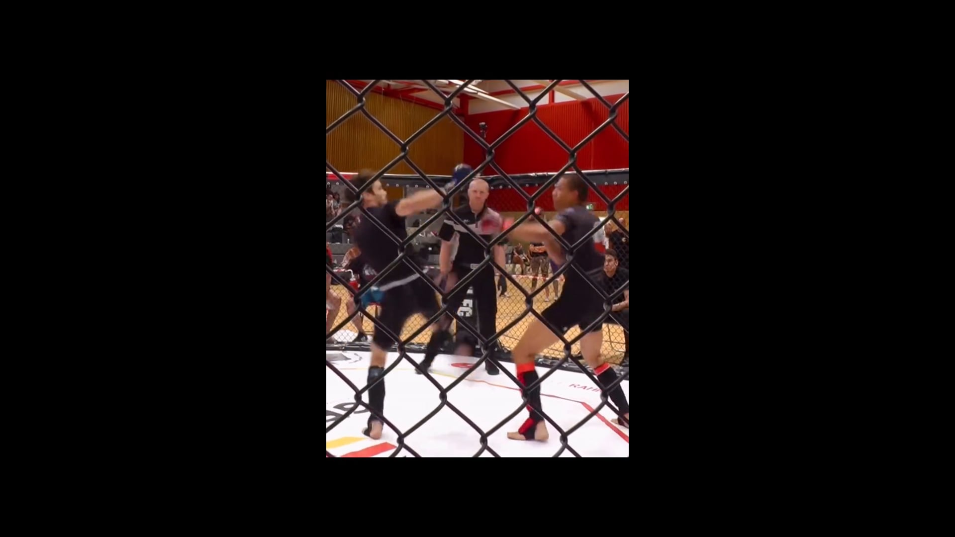 Technique-Setups-Tutorials and more for MMA and JJF