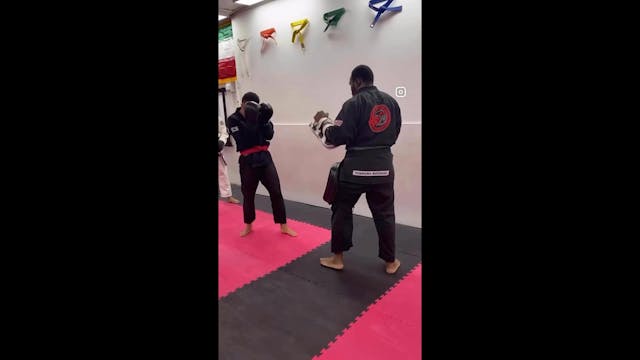 SanShou striking combination 1