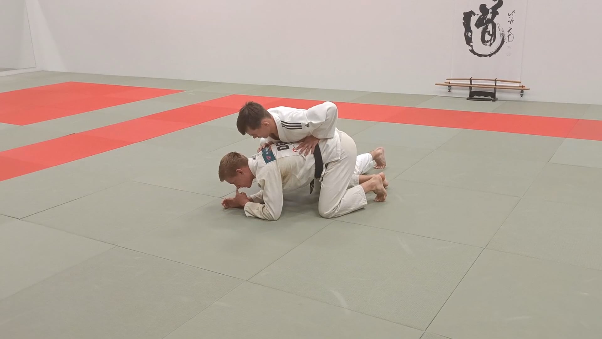 Part 3 - Transitions from Turtle to Sweep