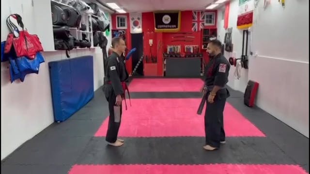 Hapkido - self defence (Wrist attack 2)