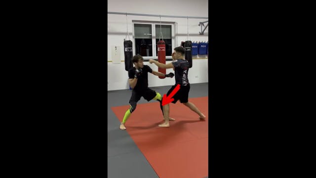 MMA Counter Cross AP