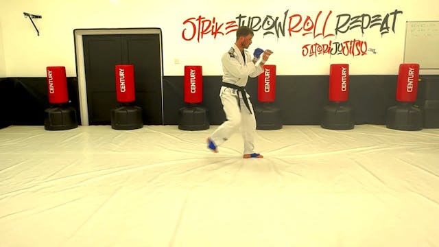 Contact Jujitsu Combination Jab - Cro...