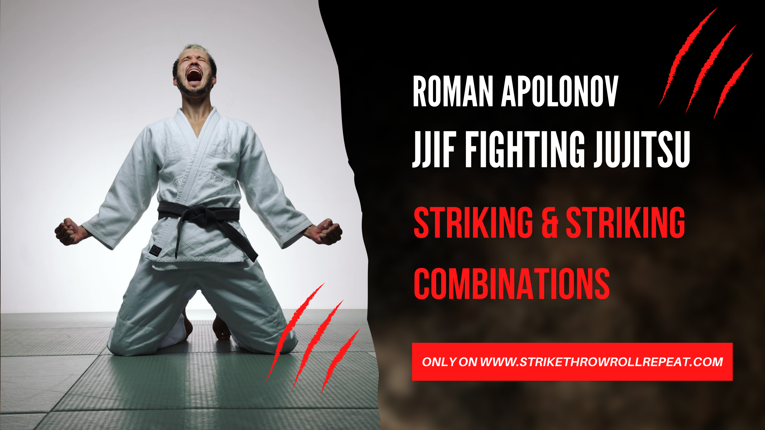Roman Apolonov - Part 1 JJIF Fighting Jujitsu Striking
