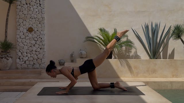 50 MINUTE FULL BODY SCULPT: OPTIONAL ...