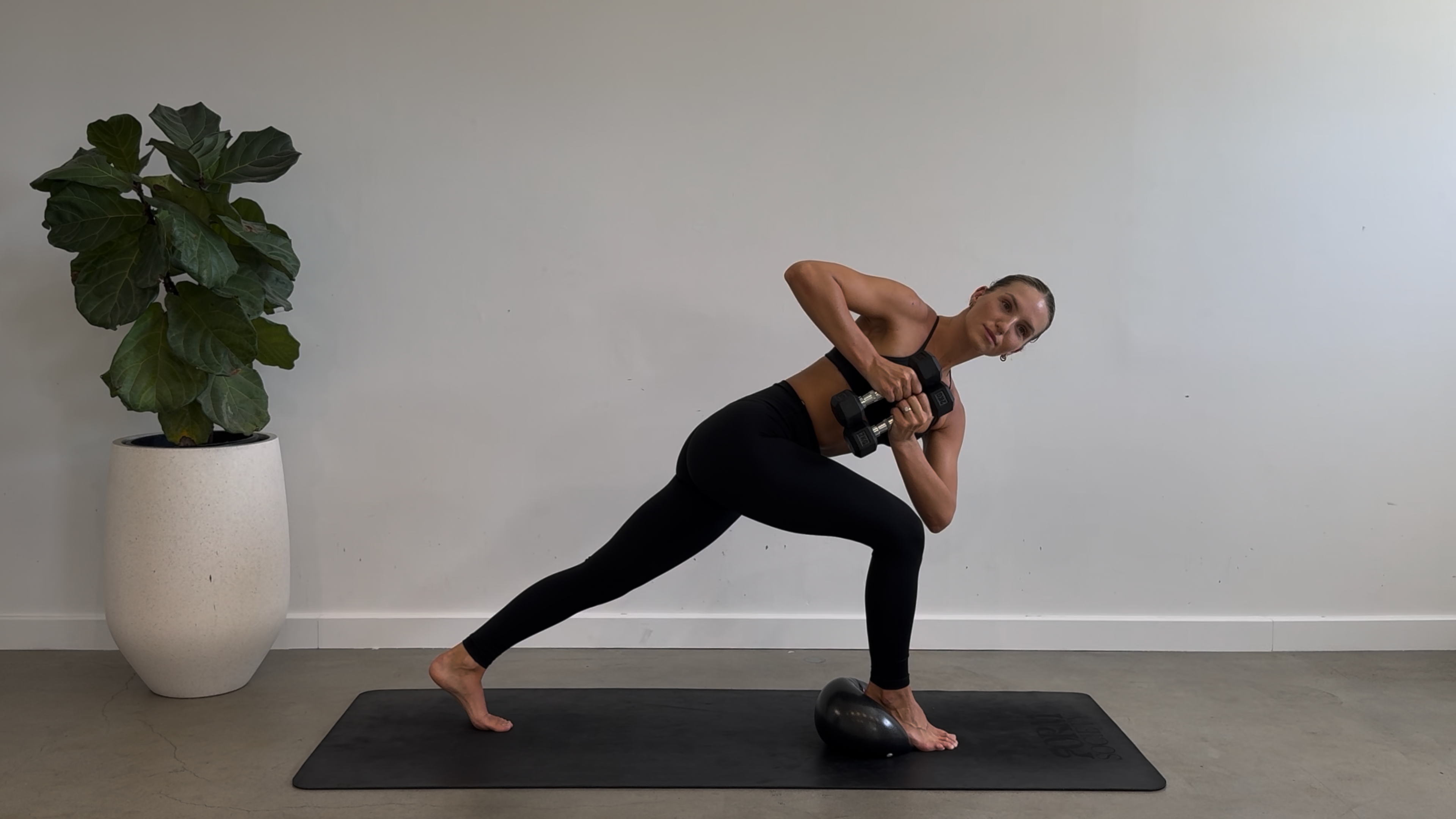 DAY SIX: 60 Minute Full Body Strength: Light Weights + Ball + Ankle Weights