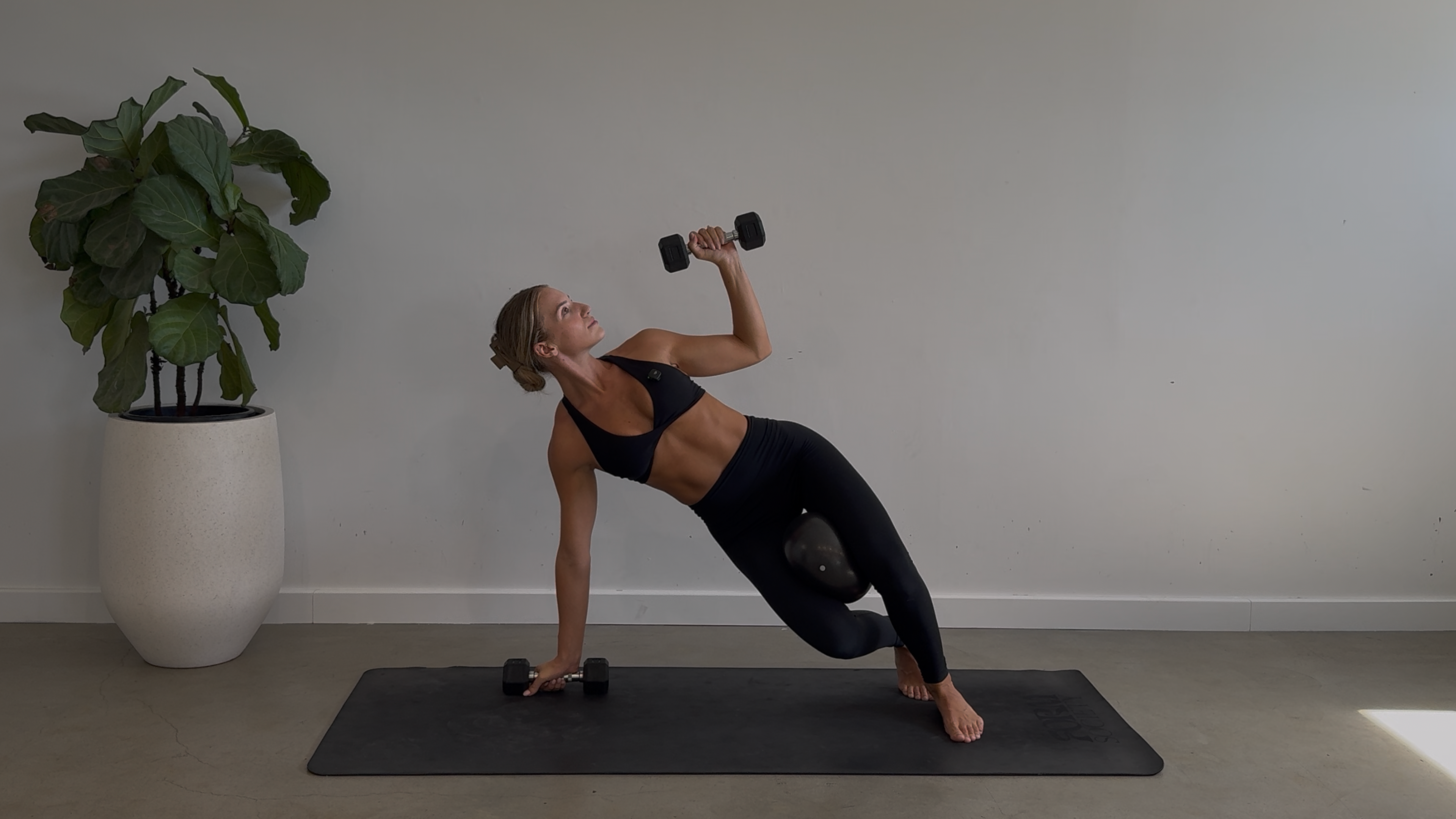 DAY TWENTY: 25 Minute Upper Body Strength: Ball + Light Weights