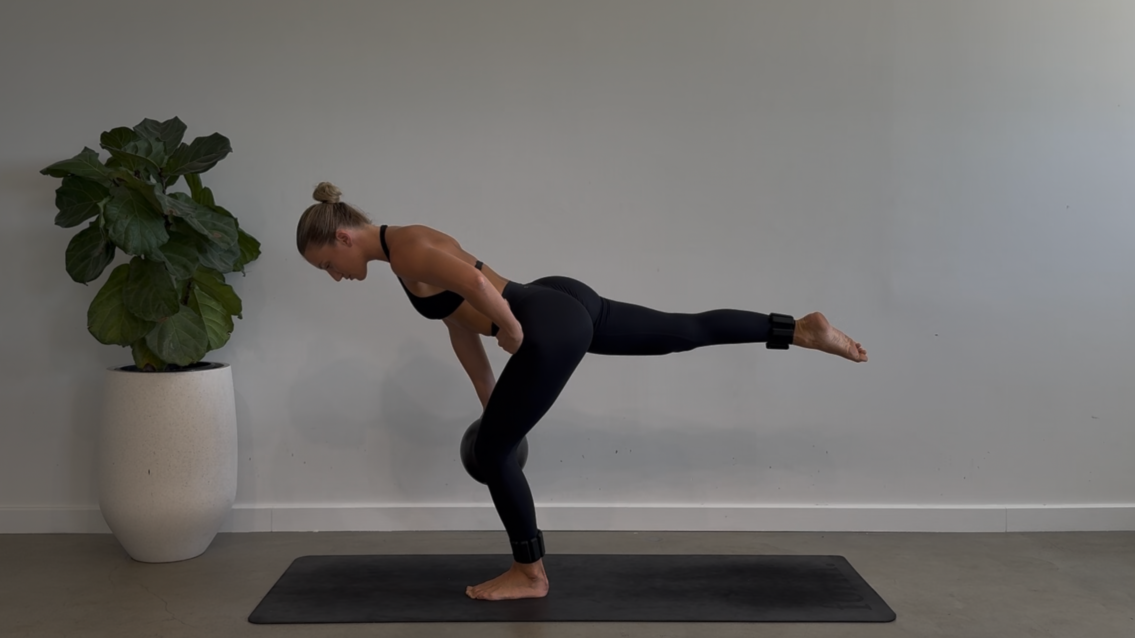 DAY TWENTY: 55 Minute Full Body Sculpt: Ball + Ankle Weights