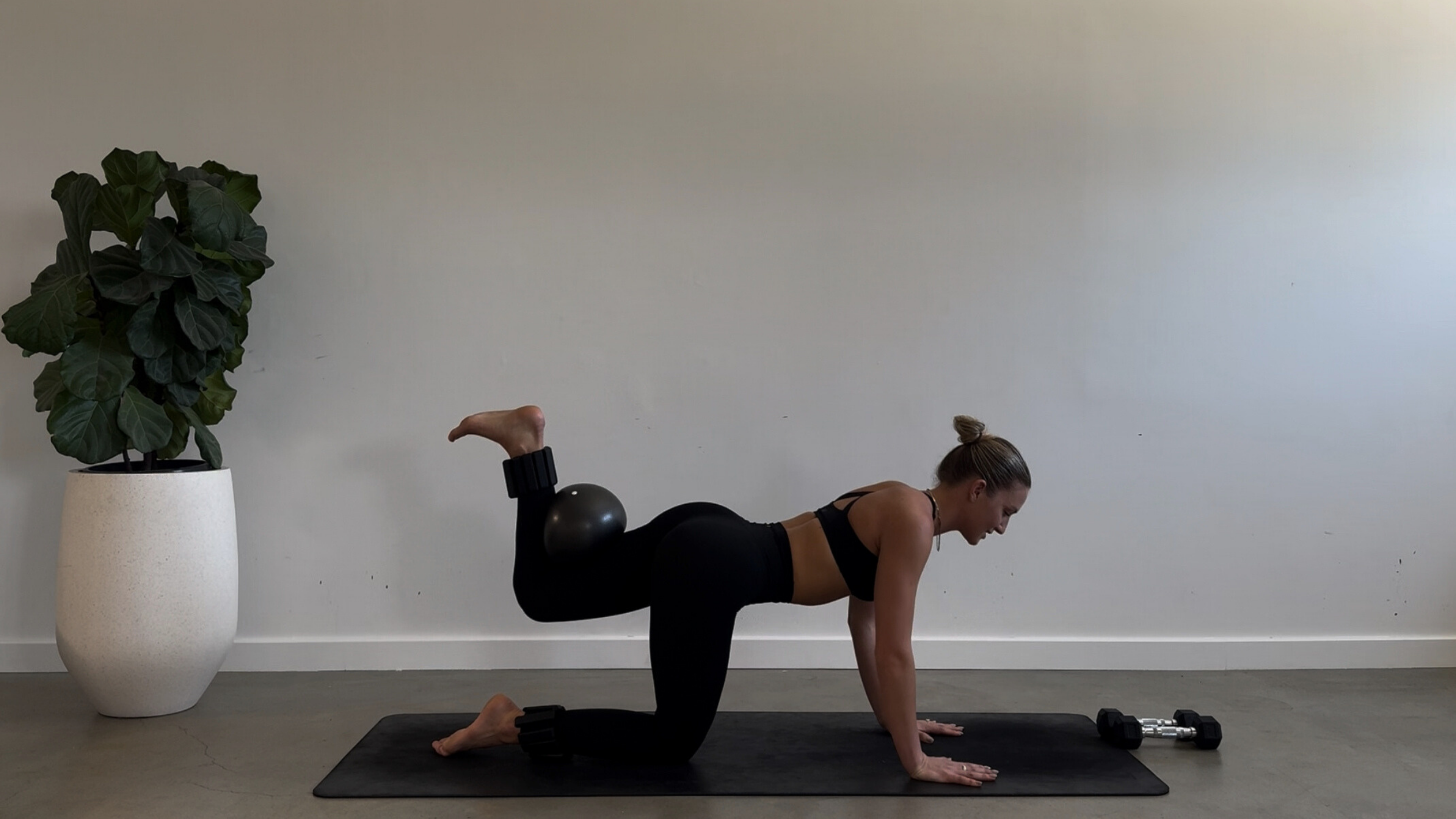 50 MINUTE FULL BODY STRENGTH: BALL + ANKLE WEIGHTS + WEIGHTS