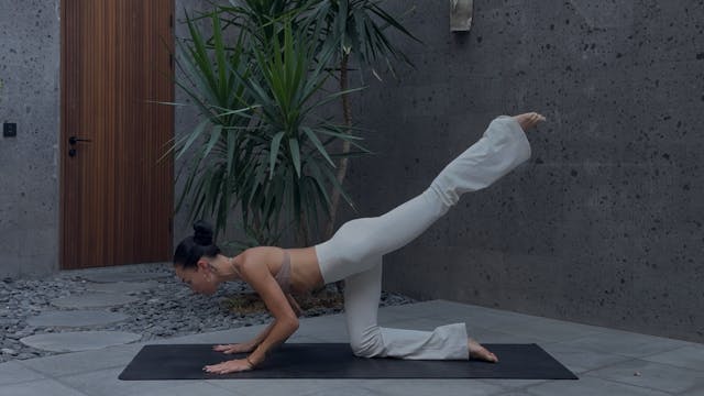 50 MINUTE FULL BODY SCULPT: ANKLE WEI...