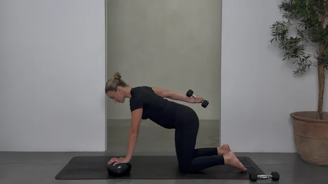 30 MINUTE UPPER & CORE STRENGTH: LIGH...