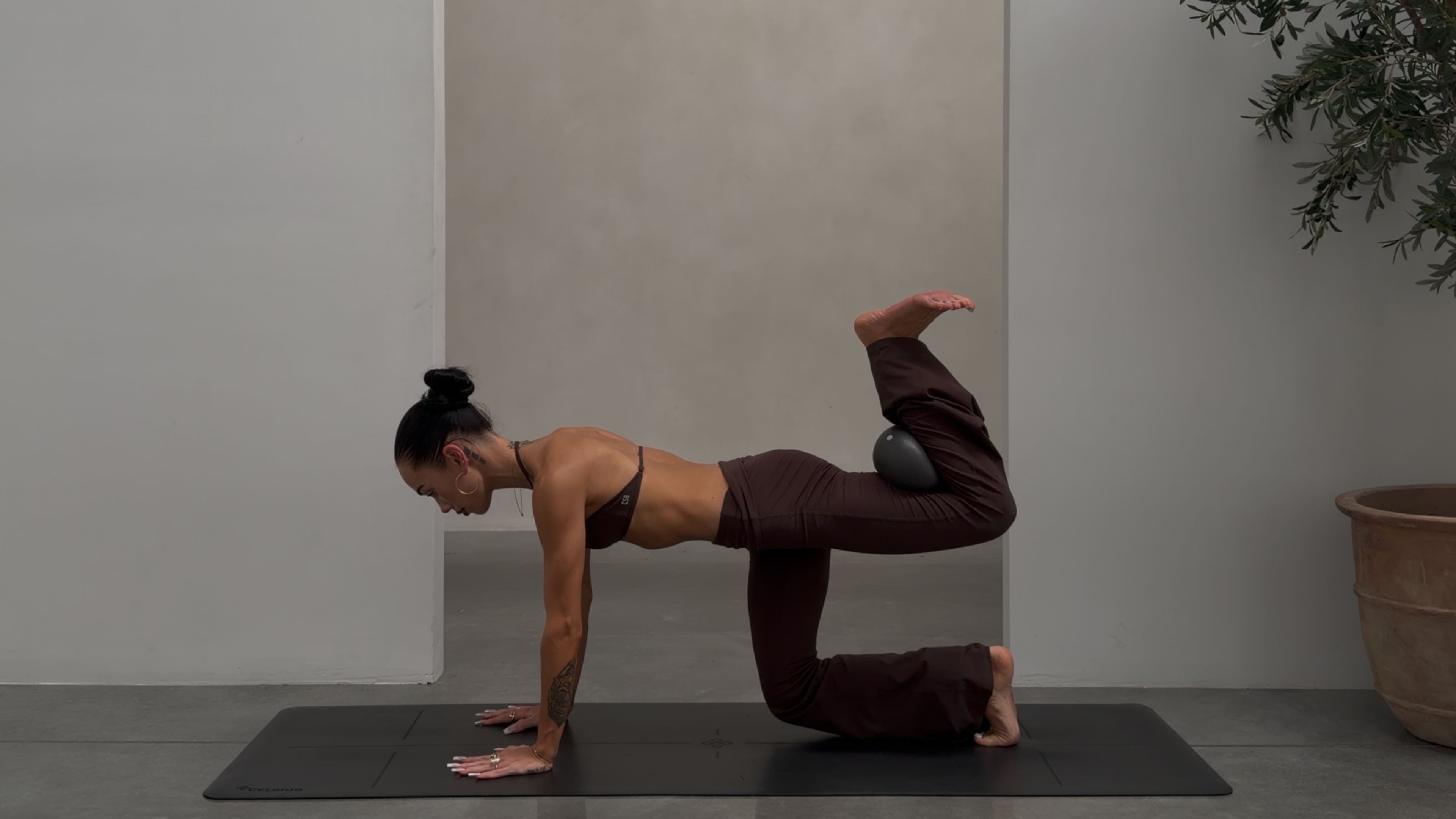 DAY EIGHT: 45 Minute Full Body Sculpt: Ball + Ankle Weights