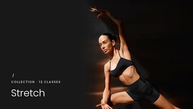 STRETCH COLLECTION