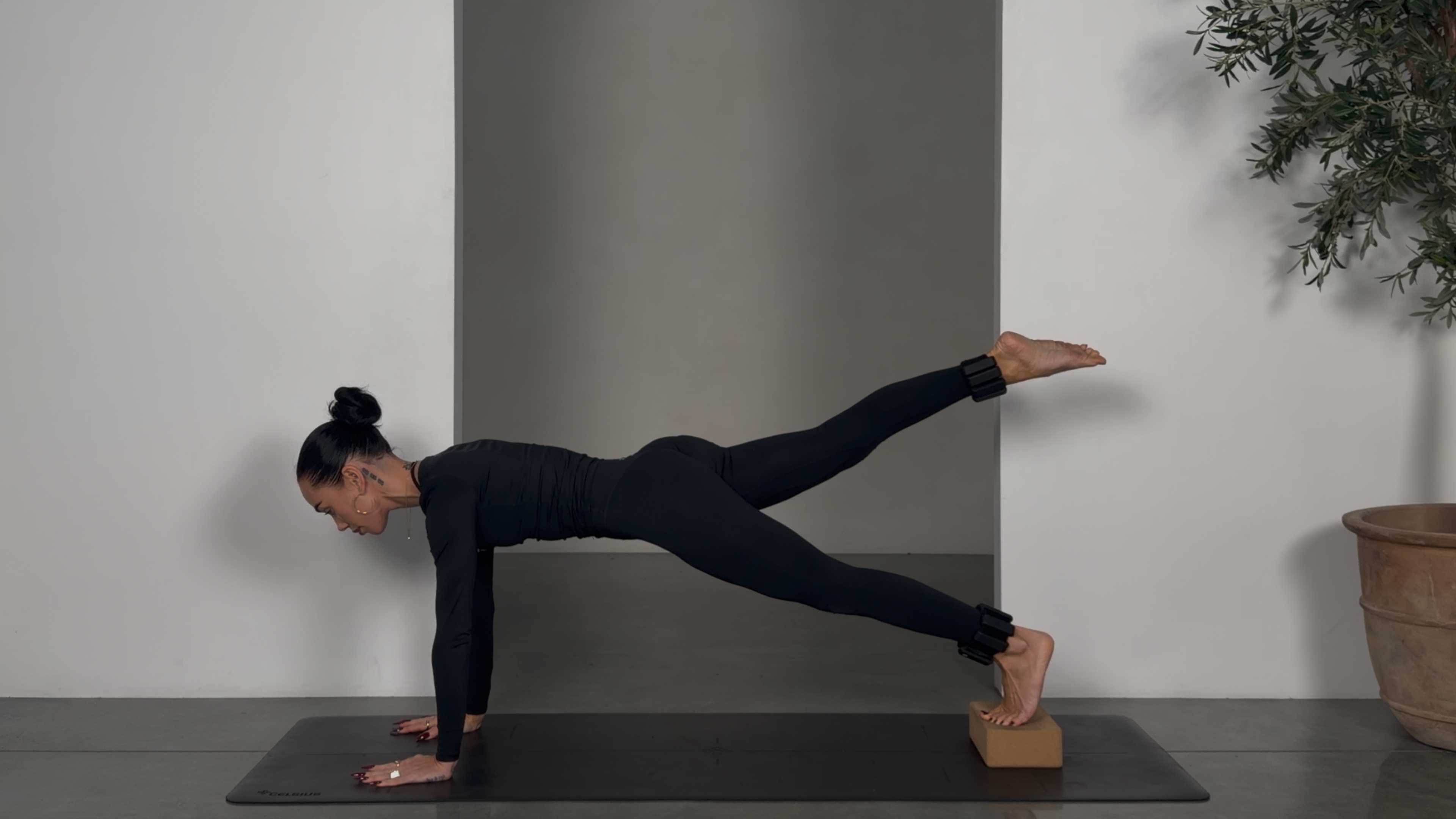 10 MINUTE CORE SCULPT: BLOCK + OPTIONAL ANKLE WEIGHTS