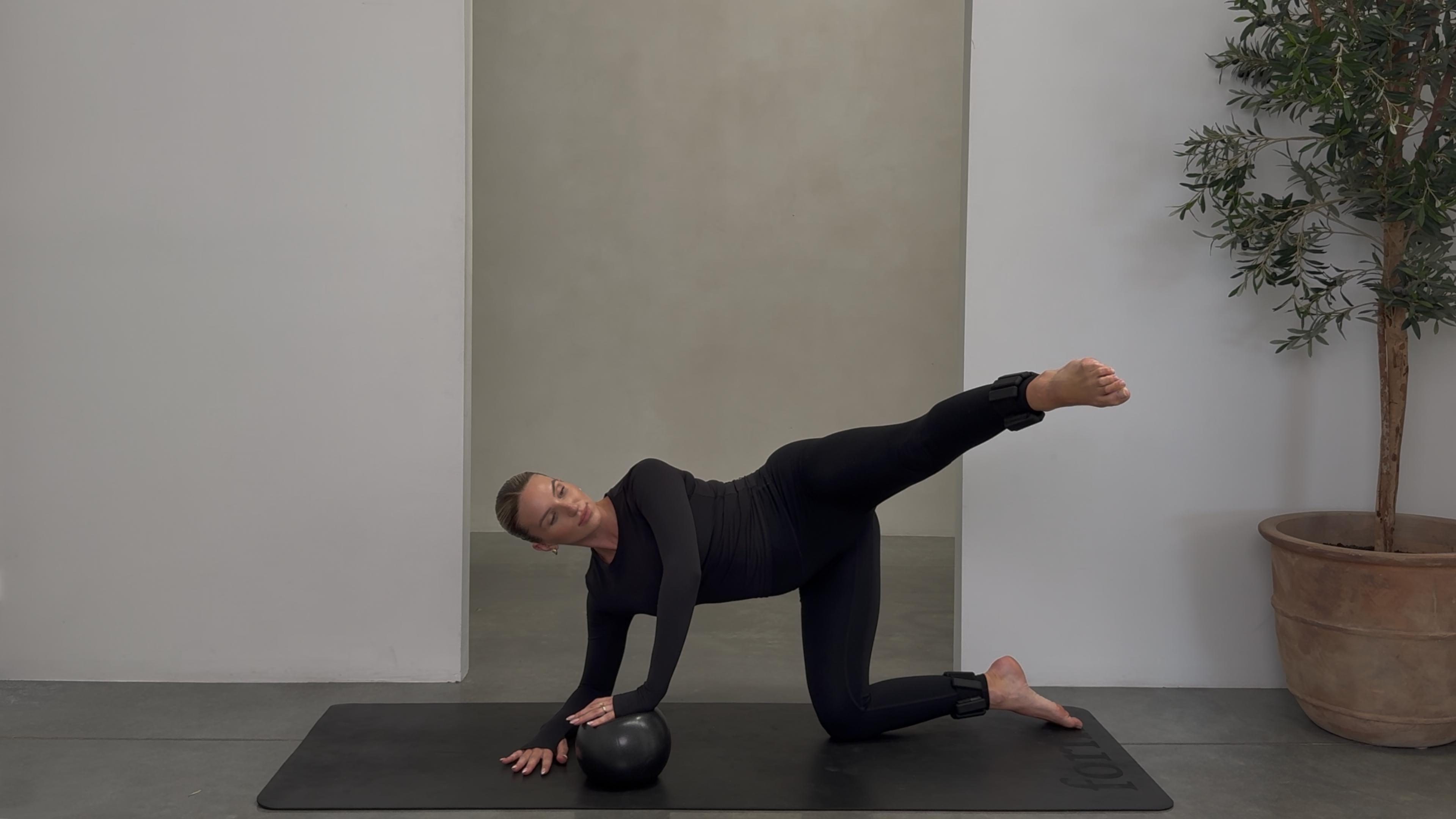 40 MINUTE FULL BODY SCULPT: BALL + ANKLE WEIGHTS