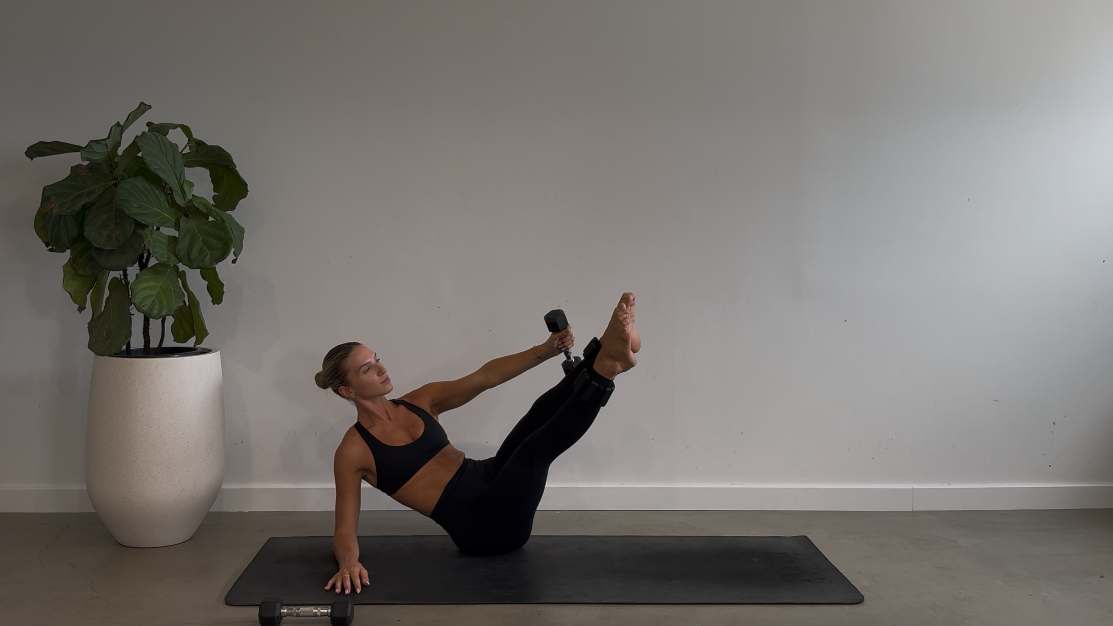 DAY TWENTY FOUR: 25 Minute Core Strength: Light Weights + Ankle Weights