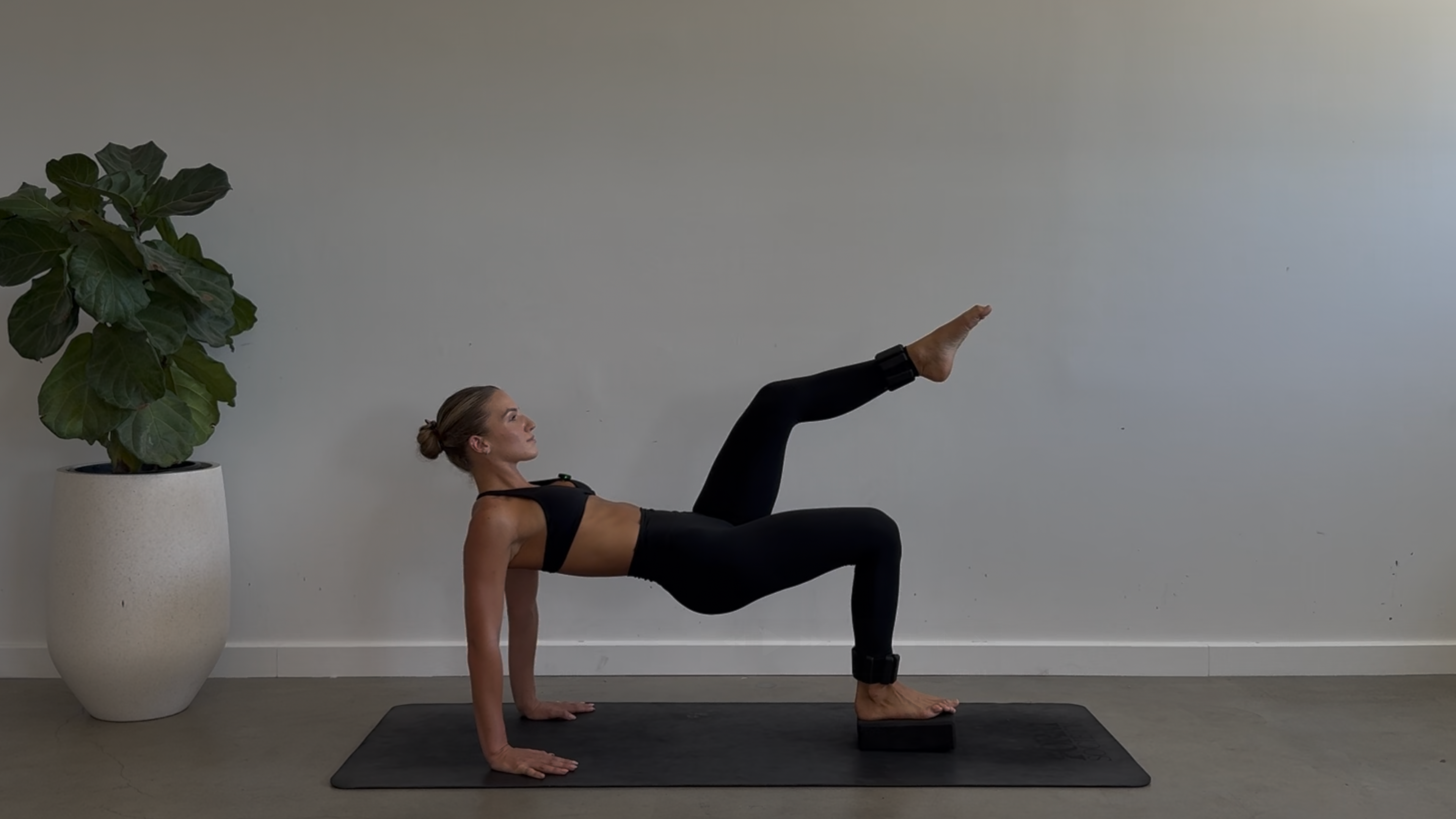 DAY EIGHTEEN: 45 Minute Full Body Sculpt: Block + Ankle Weights