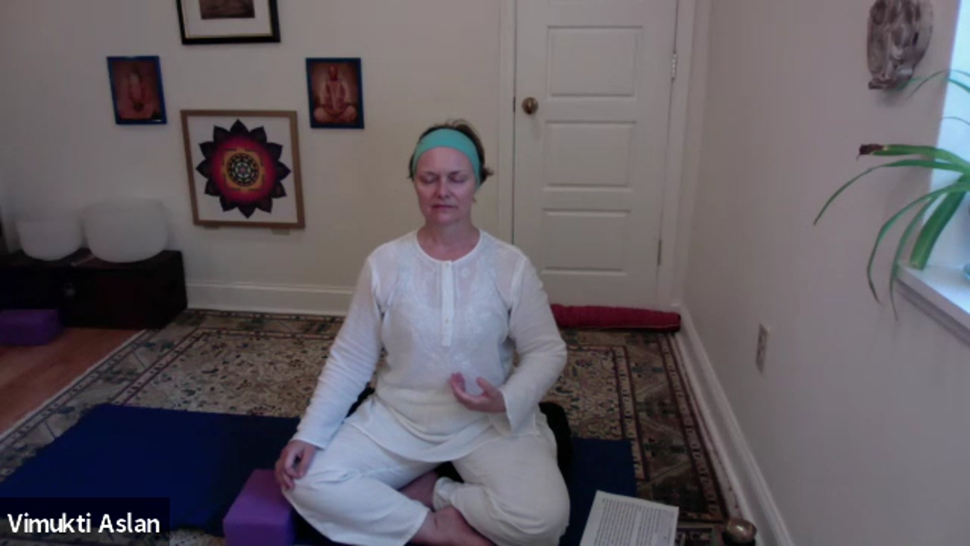 Your Moving Meditation: Integral Hatha Yoga with Vimukti Aslan